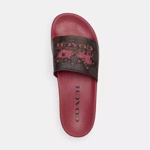 NWT Coach Uli Sport Slide In Signature Canvas With Horse And Carriage